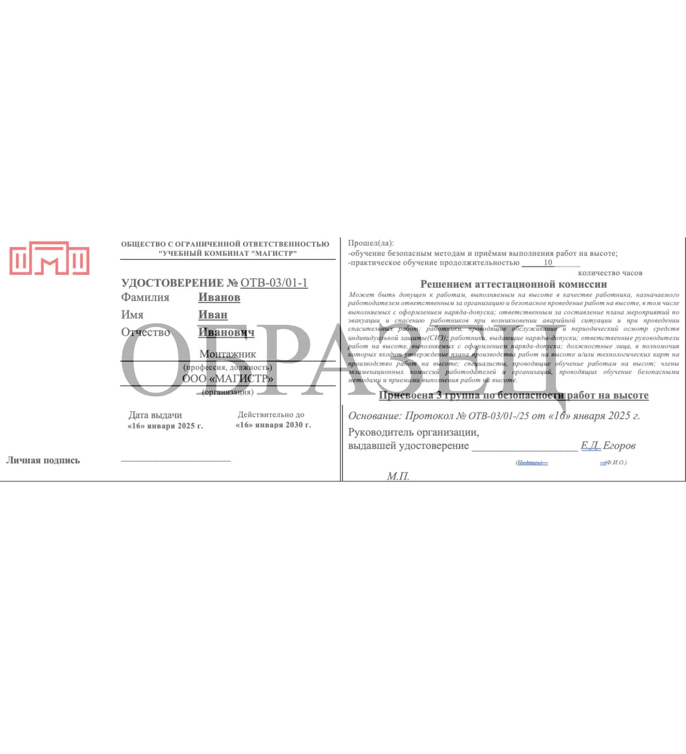 Образец итогового документа